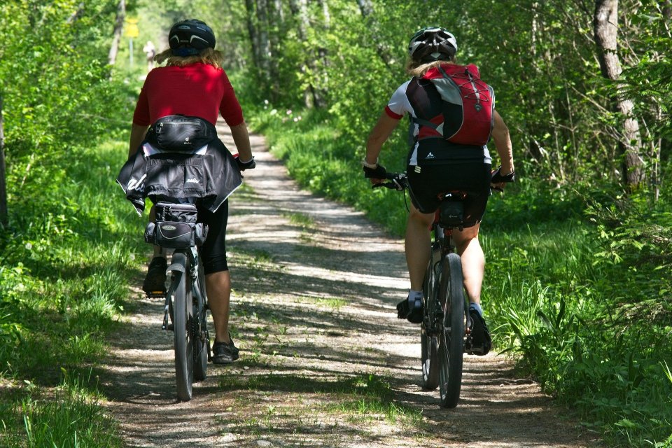 Boerderij Den Branderhorst fietsen door de bossen in de Achterhoek