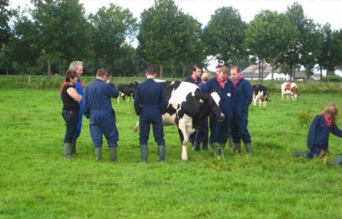 Boerderij Den Branderhorst Hengelo Gelderland koeien knuffelen met groep