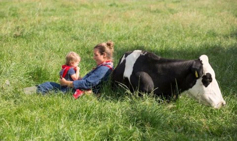 Boerderij Den Branderhorst Hengelo Gelderland koeien knuffelen
