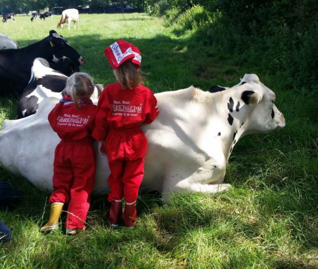 Boerderij Den Branderhorst in de Achterhoek Gelderland verjaardag op de boerderij