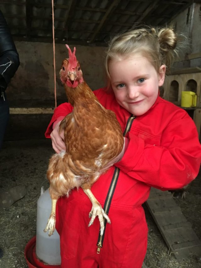 Boerderij Den Branderhorst in de Achterhoek Gelderland verjaardagsfeestje