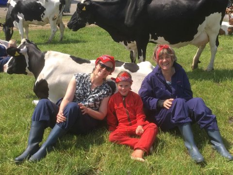 Boerderij Den Branderhorst in Gelderland koeien knuffelen met vriendinnen
