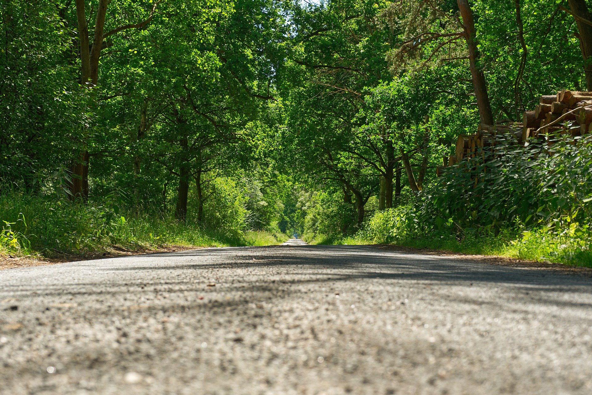 Boerderij Den Branderhorst wandelen door de Achterhoek Gelderland