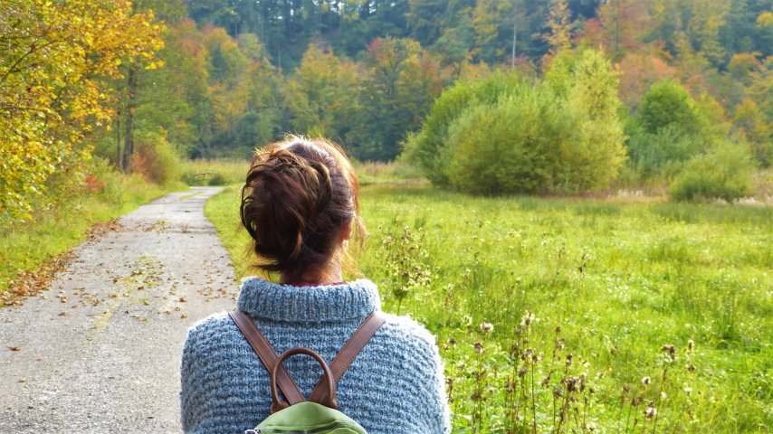 Boerderij Den Branderhorst wandelen door de bossen in de Achterhoek