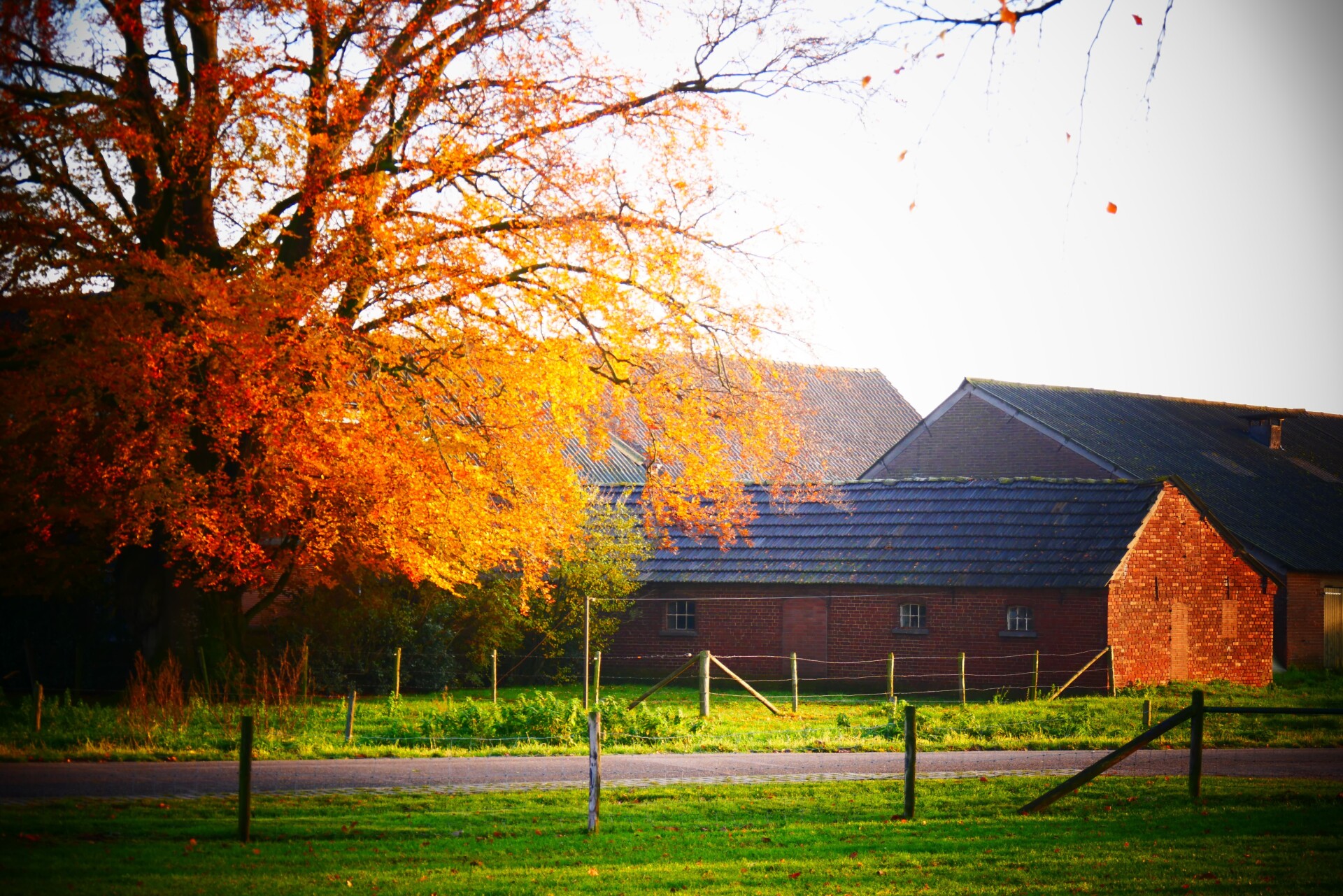 Boerderij Den Branderhorst wandelen in de Achterhoek Gelderland