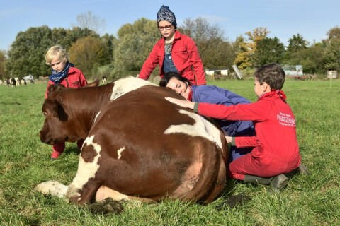 Koeknuffelen Hengelo Gld 1024x683