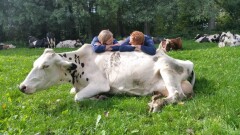 Ontspannen bij de koeien 1024x576